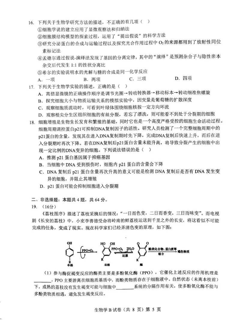 湖北省&ldquo;新八校&rdquo;协作体2025-2026学年度上学期高三10月月考生物_2025年10月_251013湖北省&ldquo;新八校&rdquo;协作体2025-2026学年度上学期高三10月月考（全科）