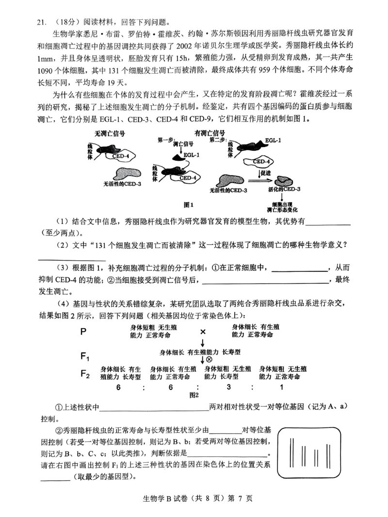湖北省&ldquo;新八校&rdquo;协作体2025-2026学年度上学期高三10月月考生物_2025年10月_251013湖北省&ldquo;新八校&rdquo;协作体2025-2026学年度上学期高三10月月考（全科）