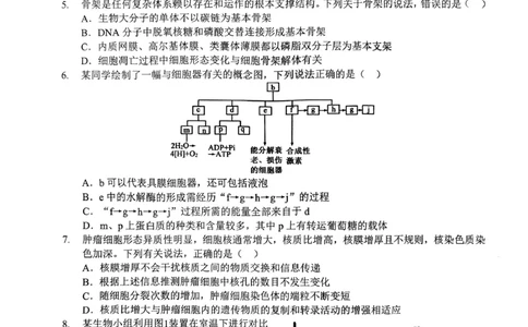 湖北省&ldquo;新八校&rdquo;协作体2025-2026学年度上学期高三10月月考生物_2025年10月_251013湖北省&ldquo;新八校&rdquo;协作体2025-2026学年度上学期高三10月月考（全科）