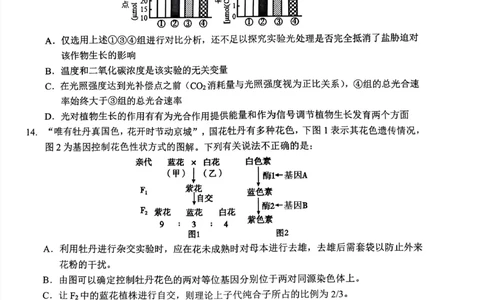 湖北省&ldquo;新八校&rdquo;协作体2025-2026学年度上学期高三10月月考生物_2025年10月_251013湖北省&ldquo;新八校&rdquo;协作体2025-2026学年度上学期高三10月月考（全科）
