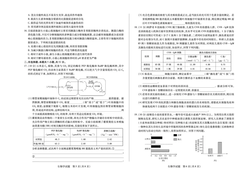 河南省天一小高考2024-2025学年（下）高三第三次考试生物_2025年4月_250410河南省天一小高考2024-2025学年（下）高三第三次考试（全科）