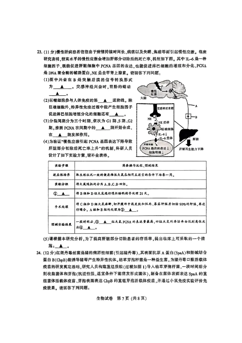 生物_2025年3月_2503212025届江苏苏北七市高三第二次调研（南通市、宿迁、连云港、泰州、扬州、徐州、淮安）（全科）_2025届江苏苏北七市高三第二次调研生物