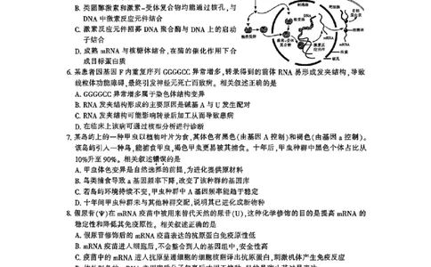 生物_2025年3月_2503212025届江苏苏北七市高三第二次调研（南通市、宿迁、连云港、泰州、扬州、徐州、淮安）（全科）_2025届江苏苏北七市高三第二次调研生物