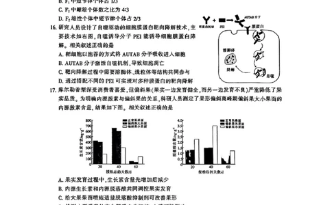 生物_2025年3月_2503212025届江苏苏北七市高三第二次调研（南通市、宿迁、连云港、泰州、扬州、徐州、淮安）（全科）_2025届江苏苏北七市高三第二次调研生物