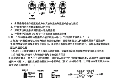 江西省宜春市2025届高三下学期4月模拟考试生物试卷（有答案）_2025年4月_250422江西省宜春市2025届高三下学期4月模拟考试（二模）（全科）