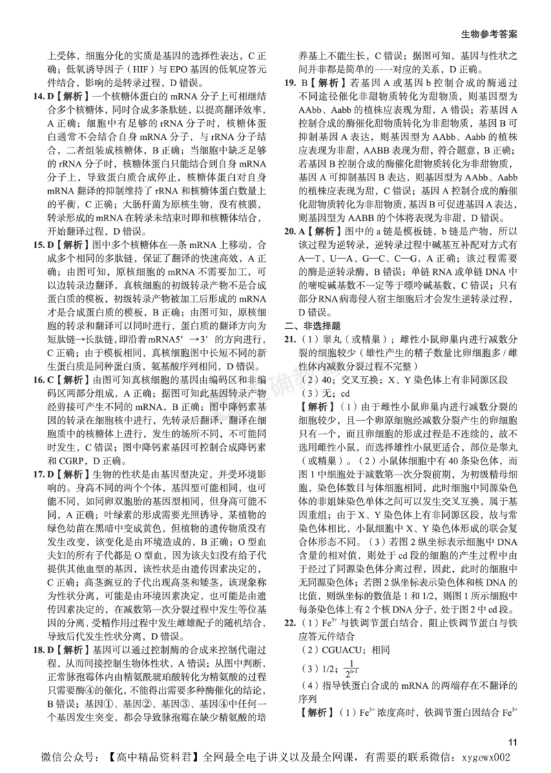 全国卷《正确小卷》2024总复习生物质检卷--答案_2024高考押题卷_72024正确教育全系列_2024年正确小卷全系列_（全国版）2024《正确小卷&middot;复习质检卷》（九科全）各两套