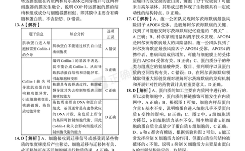 全国卷《正确小卷》2024总复习生物质检卷--答案_2024高考押题卷_72024正确教育全系列_2024年正确小卷全系列_（全国版）2024《正确小卷&middot;复习质检卷》（九科全）各两套