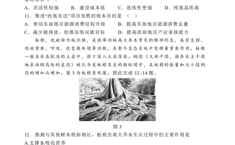 石家庄市第一中学2025届高考第一次模拟考试地理试卷_2025年2月_2502272025届河北省石家庄市第一中学高三下学期一模考试试题（全科）