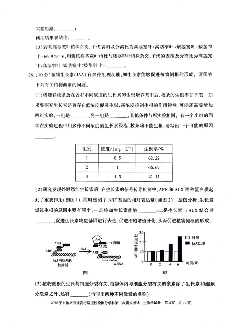 新疆维吾尔自治区2025届普通高考适应性检测分学科第二次模拟考试生物_2025年1月_250113新疆维吾尔自治区2025届普通高考适应性检测分学科第二次模拟考试（全科）