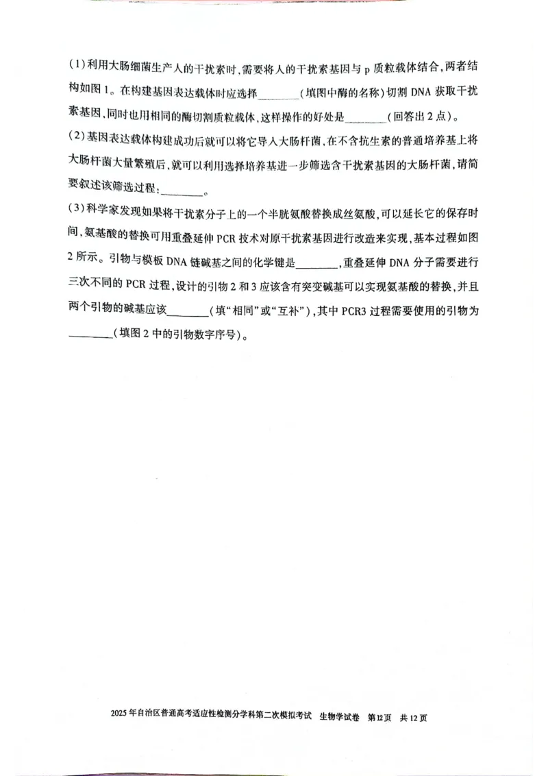 新疆维吾尔自治区2025届普通高考适应性检测分学科第二次模拟考试生物_2025年1月_250113新疆维吾尔自治区2025届普通高考适应性检测分学科第二次模拟考试（全科）