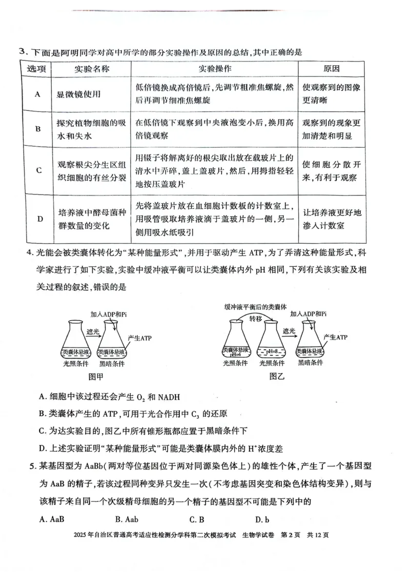 新疆维吾尔自治区2025届普通高考适应性检测分学科第二次模拟考试生物_2025年1月_250113新疆维吾尔自治区2025届普通高考适应性检测分学科第二次模拟考试（全科）