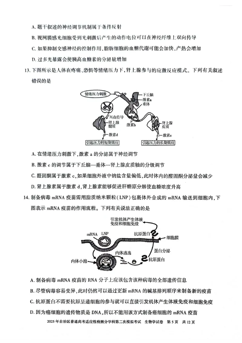 新疆维吾尔自治区2025届普通高考适应性检测分学科第二次模拟考试生物_2025年1月_250113新疆维吾尔自治区2025届普通高考适应性检测分学科第二次模拟考试（全科）