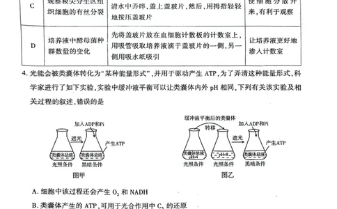 新疆维吾尔自治区2025届普通高考适应性检测分学科第二次模拟考试生物_2025年1月_250113新疆维吾尔自治区2025届普通高考适应性检测分学科第二次模拟考试（全科）