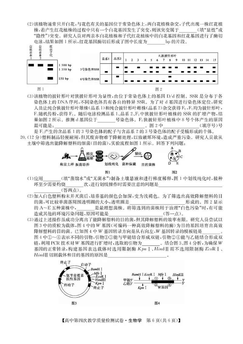 福建省莆田市2025届高中毕业班第四次教学质量检测生物(1)_2025年5月_250510福建省莆田市2025届高中毕业班第四次教学质量检测（莆田四检）（全科）