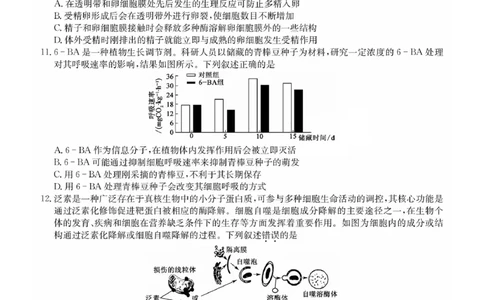 福建省莆田市2025届高中毕业班第四次教学质量检测生物(1)_2025年5月_250510福建省莆田市2025届高中毕业班第四次教学质量检测（莆田四检）（全科）