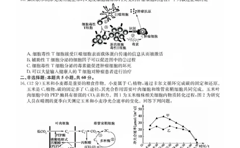 福建省莆田市2025届高中毕业班第四次教学质量检测生物(1)_2025年5月_250510福建省莆田市2025届高中毕业班第四次教学质量检测（莆田四检）（全科）