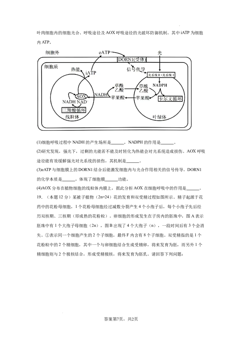 湖南省长沙市望城区第一中学2025届高三一模试题生物_2025年3月_250322湖南省长沙市望城区第一中学2025届高三一模试题