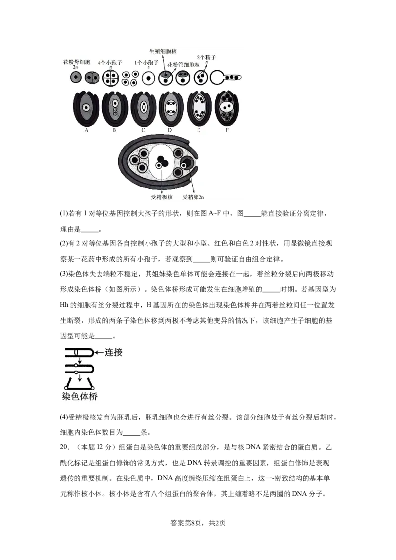 湖南省长沙市望城区第一中学2025届高三一模试题生物_2025年3月_250322湖南省长沙市望城区第一中学2025届高三一模试题