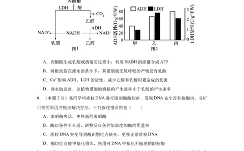 湖南省长沙市望城区第一中学2025届高三一模试题生物_2025年3月_250322湖南省长沙市望城区第一中学2025届高三一模试题