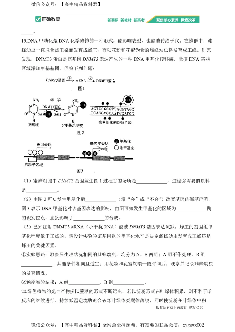 2024届明日之星高考生物精英模拟卷广西版_2024高考押题卷_72024正确教育全系列_2024明日之星全系列_（新高考）2024《明日之星&middot;高考精英模拟卷》（九科全）各一套