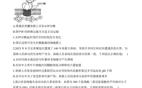 2024届明日之星高考生物精英模拟卷广西版_2024高考押题卷_72024正确教育全系列_2024明日之星全系列_（新高考）2024《明日之星&middot;高考精英模拟卷》（九科全）各一套