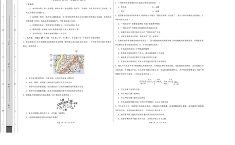 高二生物第一次月考卷测试范围：浙科版2019选择性必修1第1章~第2章（考试版A3）_1多考区联考试卷_2510142025-2026学年高二生物上学期第一次月考试题