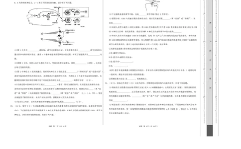 高二生物第一次月考卷测试范围：浙科版2019选择性必修1第1章~第2章（考试版A3）_1多考区联考试卷_2510142025-2026学年高二生物上学期第一次月考试题