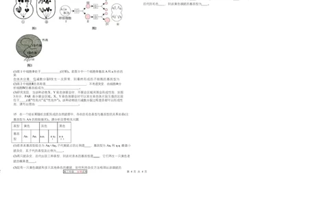 天津市第三中学2026届高三上学期10月月考+生物_2025年10月_12026年试卷教辅资源等多个文件_251023天津市第三中学2026届高三上学期10月月考