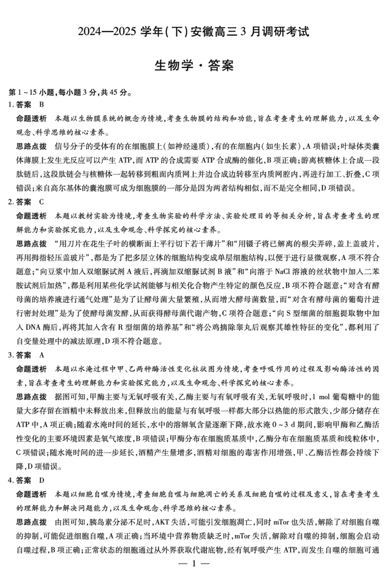 安徽省天一大联考2025届高三3月调研考试生物答案_2025年3月_250308安徽省天一大联考2025届高三3月调研考试（全科）_安徽省天一大联考2025届高三3月调研考试生物