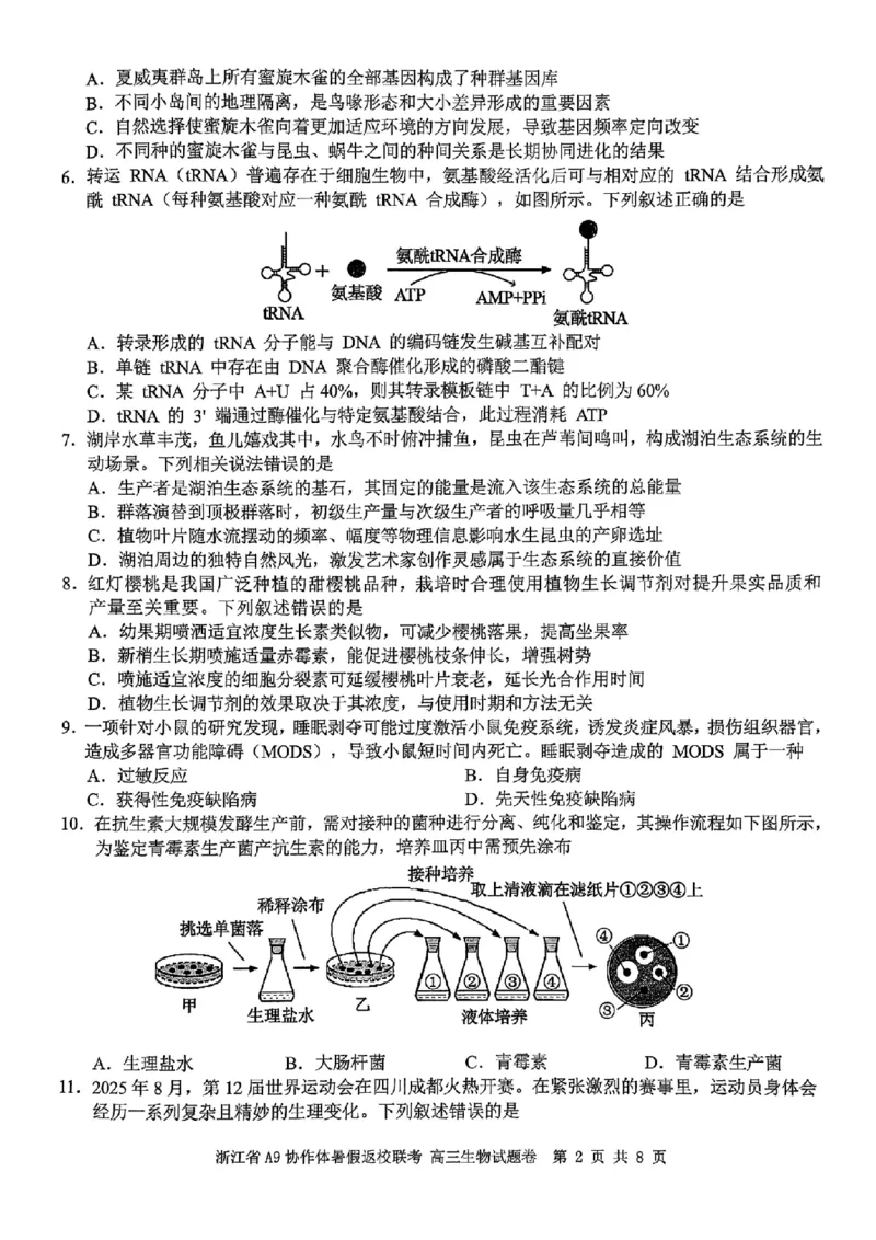 浙江省A9协作体暑假返校联考生物_2025年8月_250828浙江省A9协作体暑假返校联考（全科）