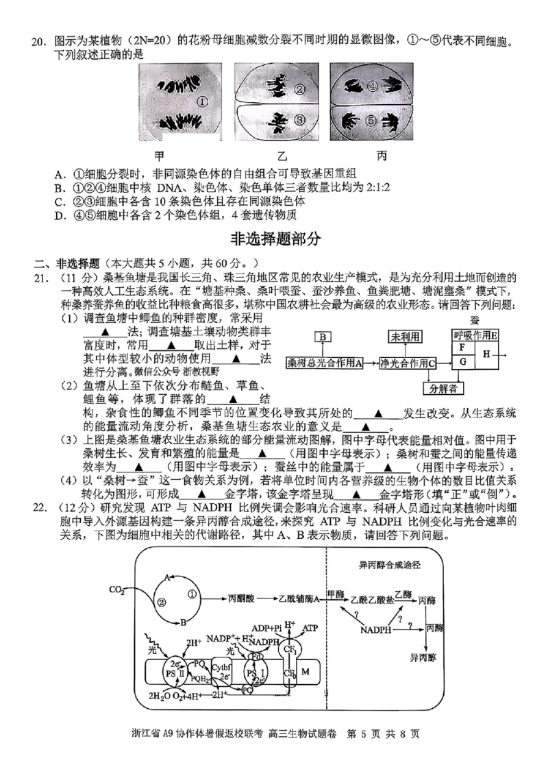 浙江省A9协作体暑假返校联考生物_2025年8月_250828浙江省A9协作体暑假返校联考（全科）