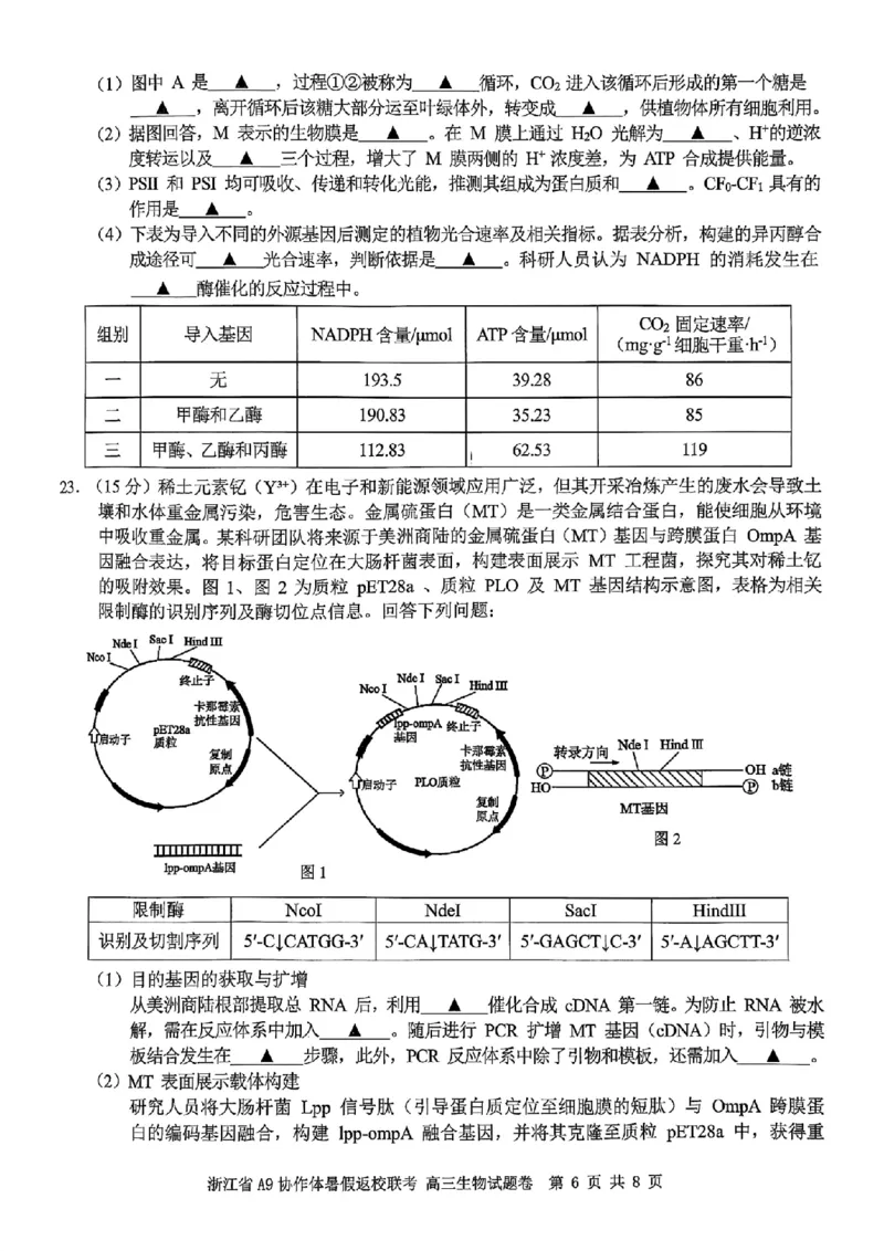 浙江省A9协作体暑假返校联考生物_2025年8月_250828浙江省A9协作体暑假返校联考（全科）