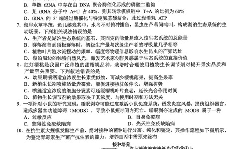 浙江省A9协作体暑假返校联考生物_2025年8月_250828浙江省A9协作体暑假返校联考（全科）
