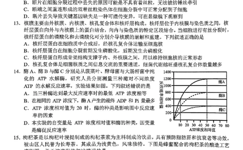 浙江省A9协作体暑假返校联考生物_2025年8月_250828浙江省A9协作体暑假返校联考（全科）