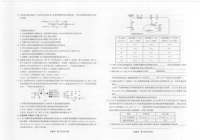 生物2025年辽宁名校联盟高三10月联考正文（8k）_2025年10月_251012辽宁省名校联盟2025年高三10月份联合考试（全科）