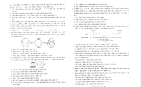 生物2025年辽宁名校联盟高三10月联考正文（8k）_2025年10月_251012辽宁省名校联盟2025年高三10月份联合考试（全科）
