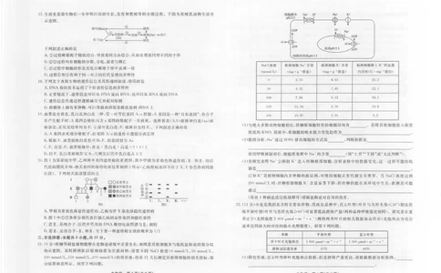 生物2025年辽宁名校联盟高三10月联考正文（8k）_2025年10月_251012辽宁省名校联盟2025年高三10月份联合考试（全科）