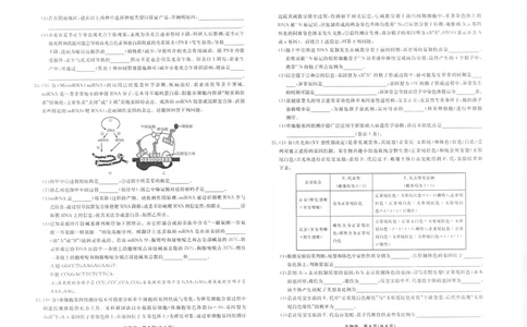 生物2025年辽宁名校联盟高三10月联考正文（8k）_2025年10月_251012辽宁省名校联盟2025年高三10月份联合考试（全科）