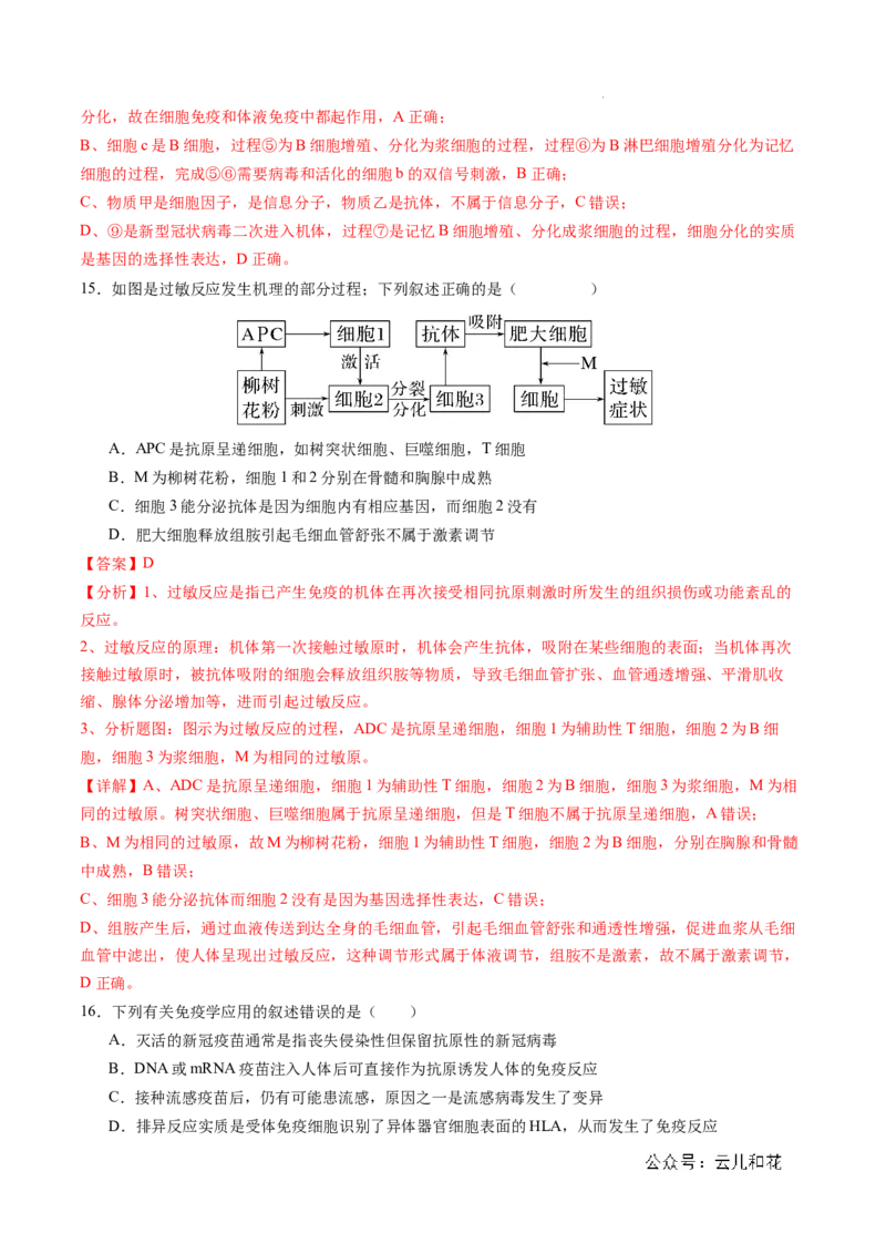 高二生物期中模拟卷01（全解全析）（新高考专用）(1)_1多考区联考_1014高二期中模拟卷（新高考通用）黄金卷：2024-2025学年高二上学期期中模拟考试