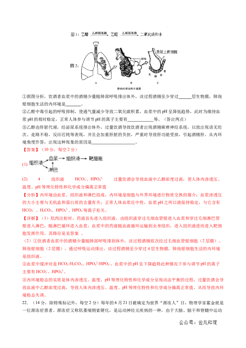 高二生物期中模拟卷01（全解全析）（新高考专用）(1)_1多考区联考_1014高二期中模拟卷（新高考通用）黄金卷：2024-2025学年高二上学期期中模拟考试