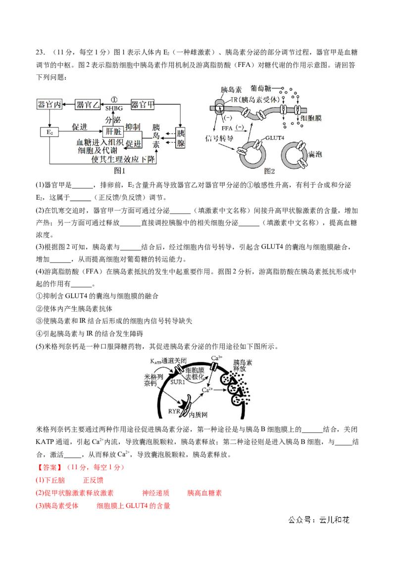 高二生物期中模拟卷01（全解全析）（新高考专用）(1)_1多考区联考_1014高二期中模拟卷（新高考通用）黄金卷：2024-2025学年高二上学期期中模拟考试