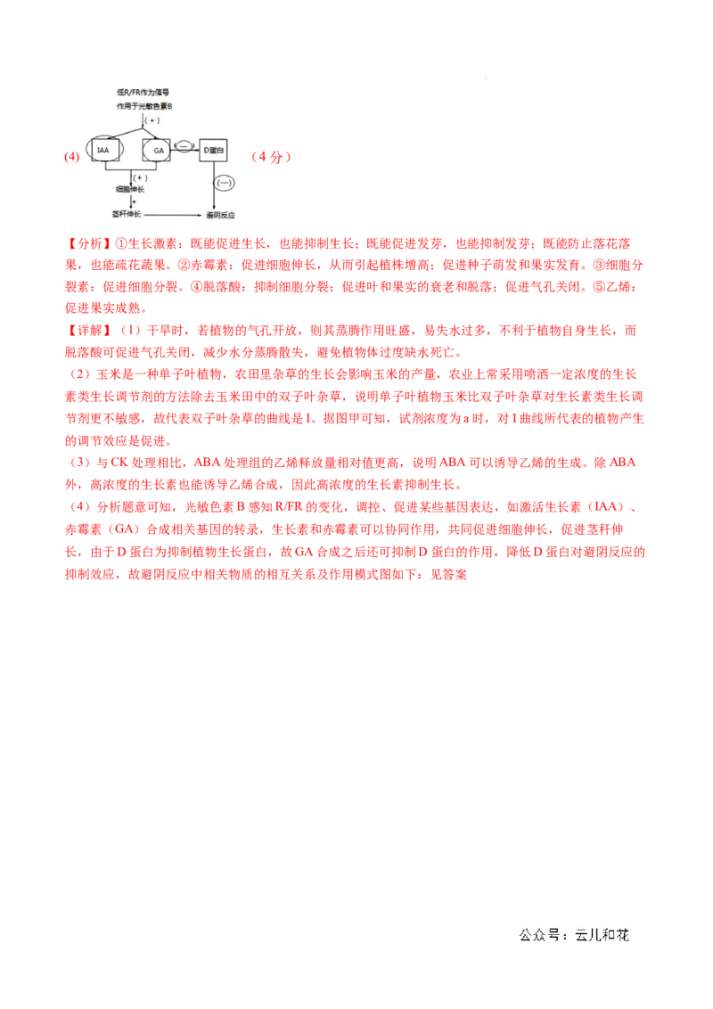 高二生物期中模拟卷01（全解全析）（新高考专用）(1)_1多考区联考_1014高二期中模拟卷（新高考通用）黄金卷：2024-2025学年高二上学期期中模拟考试