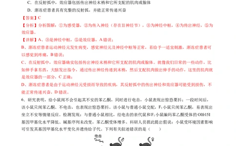 高二生物期中模拟卷01（全解全析）（新高考专用）(1)_1多考区联考_1014高二期中模拟卷（新高考通用）黄金卷：2024-2025学年高二上学期期中模拟考试