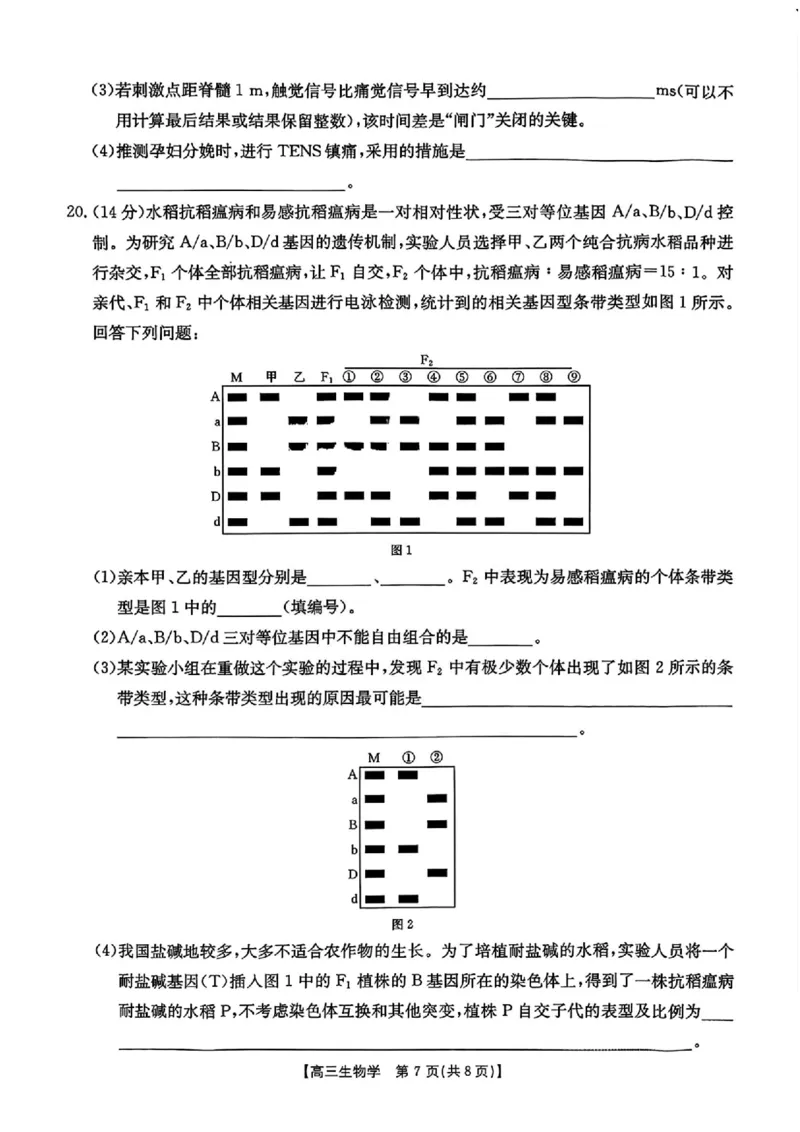江西省金太阳2025-2026学年高三上学期9月联考生物试题及答案_2025年9月_250906江西省金太阳2025-2026学年高三上学期9月联考（全科）