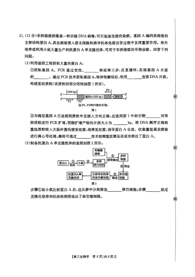 江西省金太阳2025-2026学年高三上学期9月联考生物试题及答案_2025年9月_250906江西省金太阳2025-2026学年高三上学期9月联考（全科）