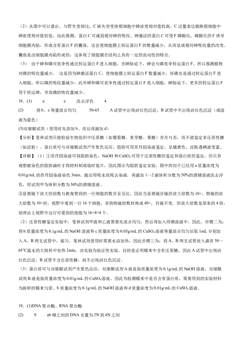 河南省信阳市淮滨县滨城高级中学2025-2026学年高三上学期9月月考生物答案_2025年10月_251006河南省信阳市淮滨县滨城高级中学2025-2026学年高三上学期9月月考