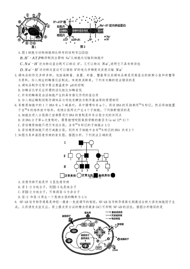 湖南省长沙市开福区湖南省长沙市第一中学2024-2025学年高三下学期3月月考生物试题_2025年3月_250323湖南省长沙市第一中学2024-2025学年高三下学期月考（七）