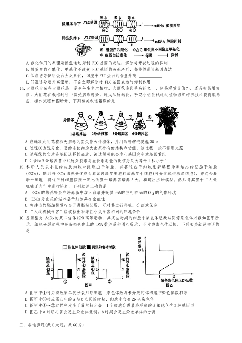 湖南省长沙市开福区湖南省长沙市第一中学2024-2025学年高三下学期3月月考生物试题_2025年3月_250323湖南省长沙市第一中学2024-2025学年高三下学期月考（七）