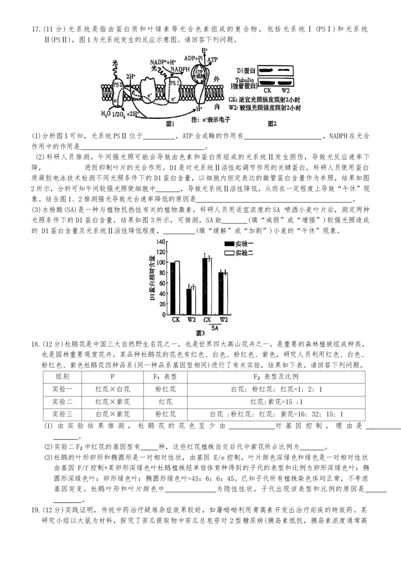 湖南省长沙市开福区湖南省长沙市第一中学2024-2025学年高三下学期3月月考生物试题_2025年3月_250323湖南省长沙市第一中学2024-2025学年高三下学期月考（七）