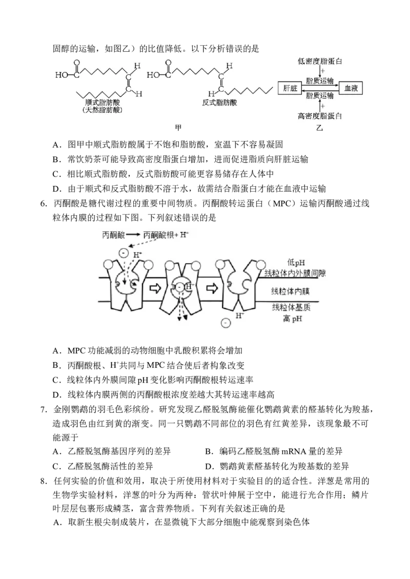 海南省文昌中学2025-2026学年高三上学期第一次月考生物试题_2025年9月_250916海南省文昌中学2025-2026学年高三上学期第一次月考（全科）